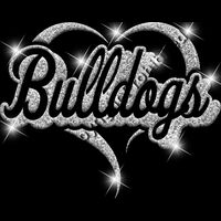 GLT77 SILVER GLITTER Thumbnail