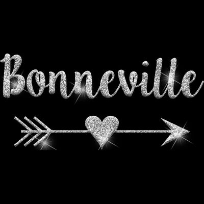 GLT46 SILVER GLITTER Thumbnail