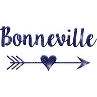 GLT46 BLUE GLITTER Thumbnail